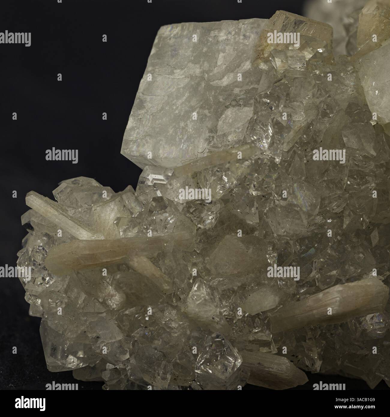 Squisito gruppo minerale che presenta cristalli traslucidi e ben formati con texture dettagliate. Perfetto per lo studio scientifico, la decorazione o come valore Foto Stock