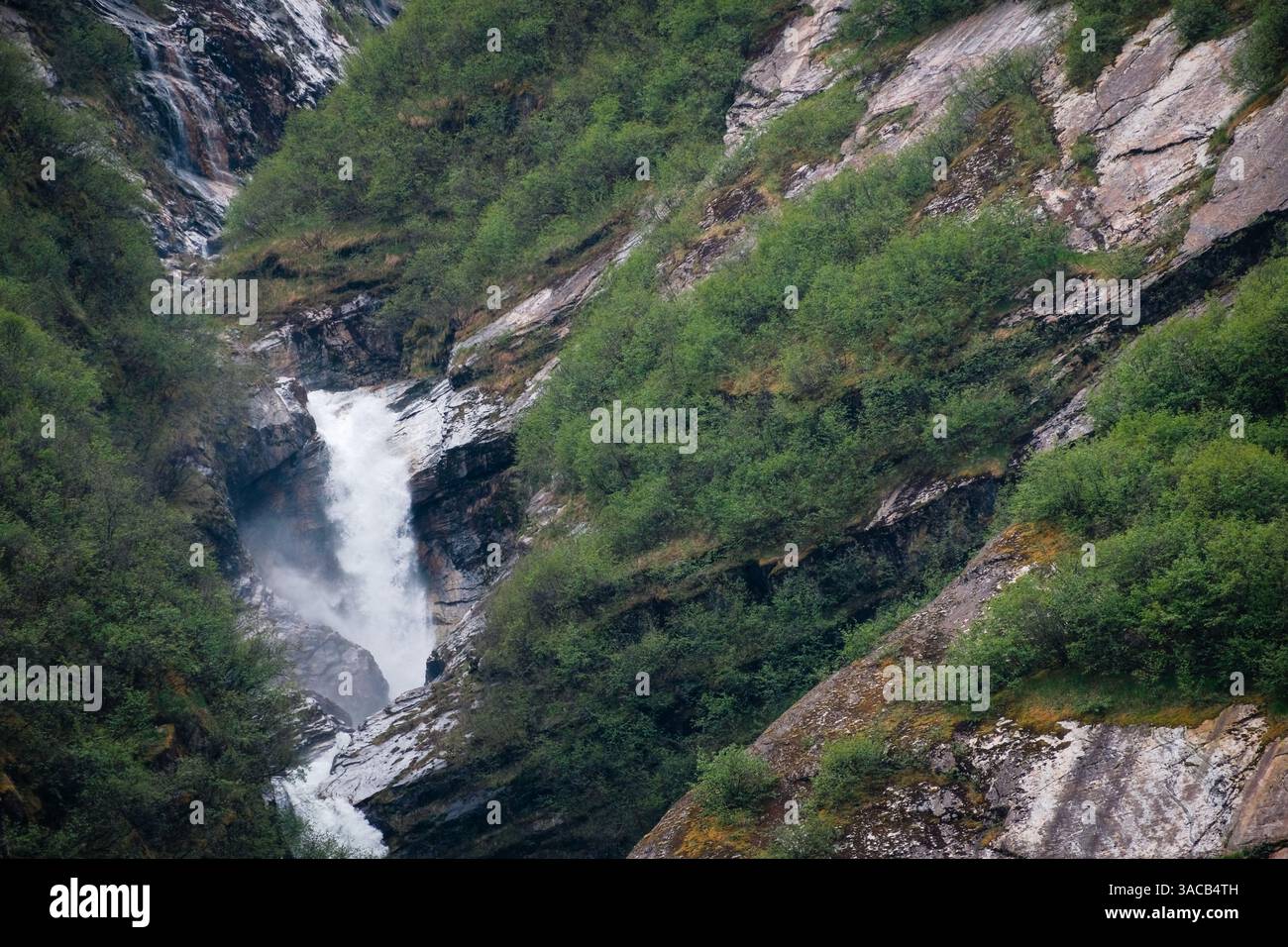 Acqua a cascata che scorre su rocce scoscese e vegetazione lussureggiante a Endicott Arm, Alaska Foto Stock Acqua a cascata che scorre su rocce scoscese e vegetazione lussureggiante a Endicott Arm, Alaska Foto Stock
