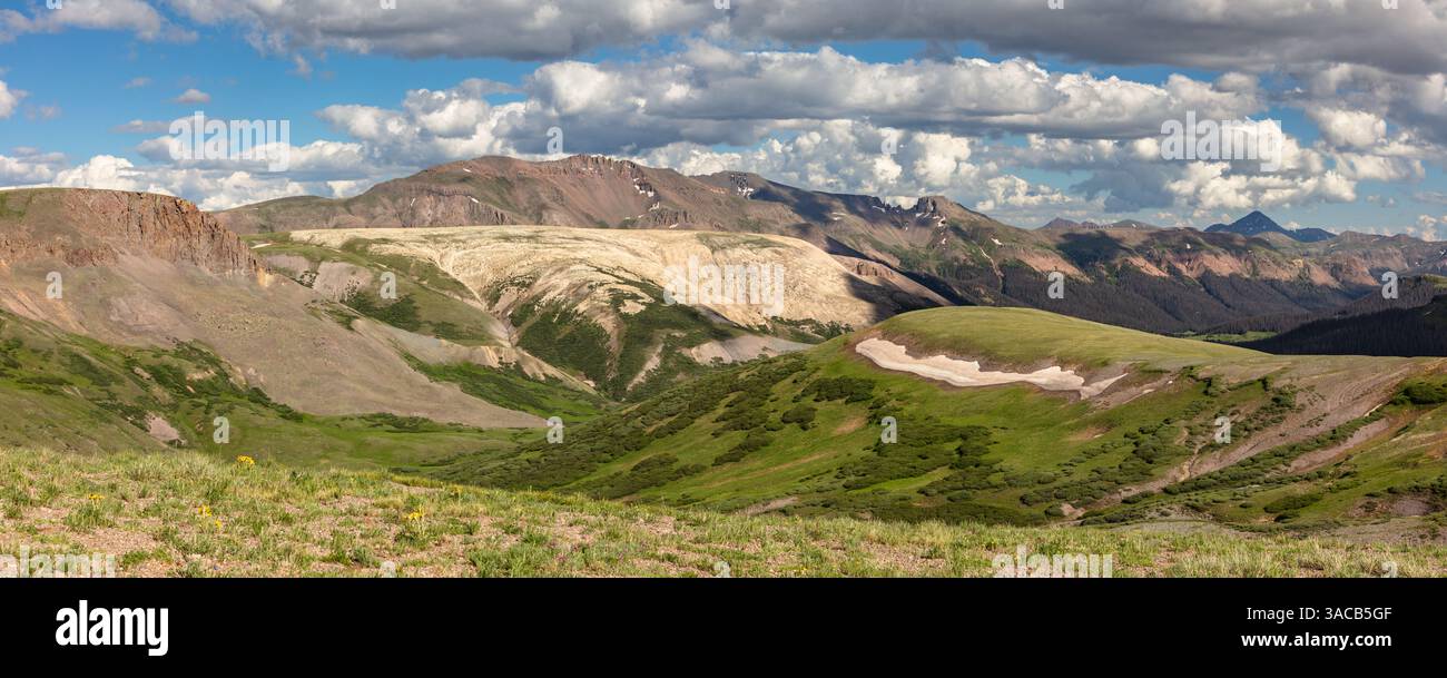 Polo nord-occidentale (13,670') e Pole Creek Mountain (13,722') circondati da una vivace tundra verde in una splendida giornata estiva nella catena montuosa di San Juan. Foto Stock