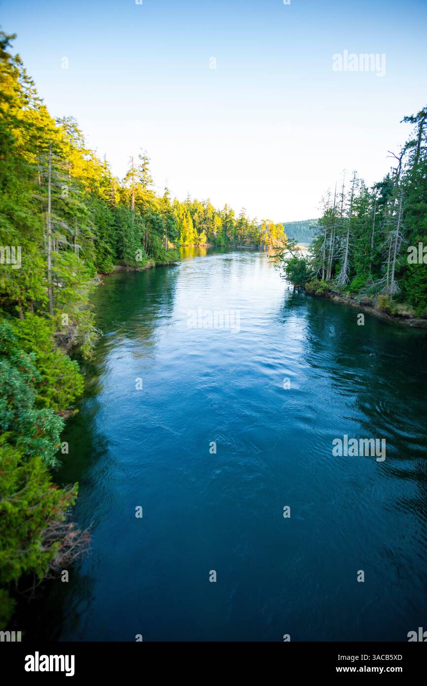 Pender Canal, Pender Island, Columbia Britannica, Gulf Islands, Canada Foto Stock