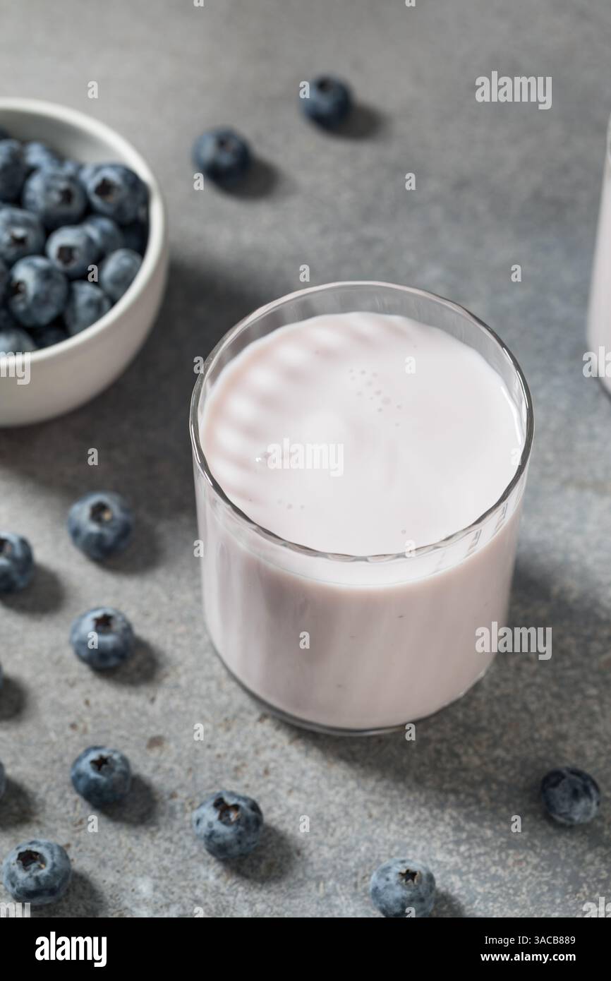 Frullato di kefir di mirtillo biologico sano in un bicchiere Foto Stock