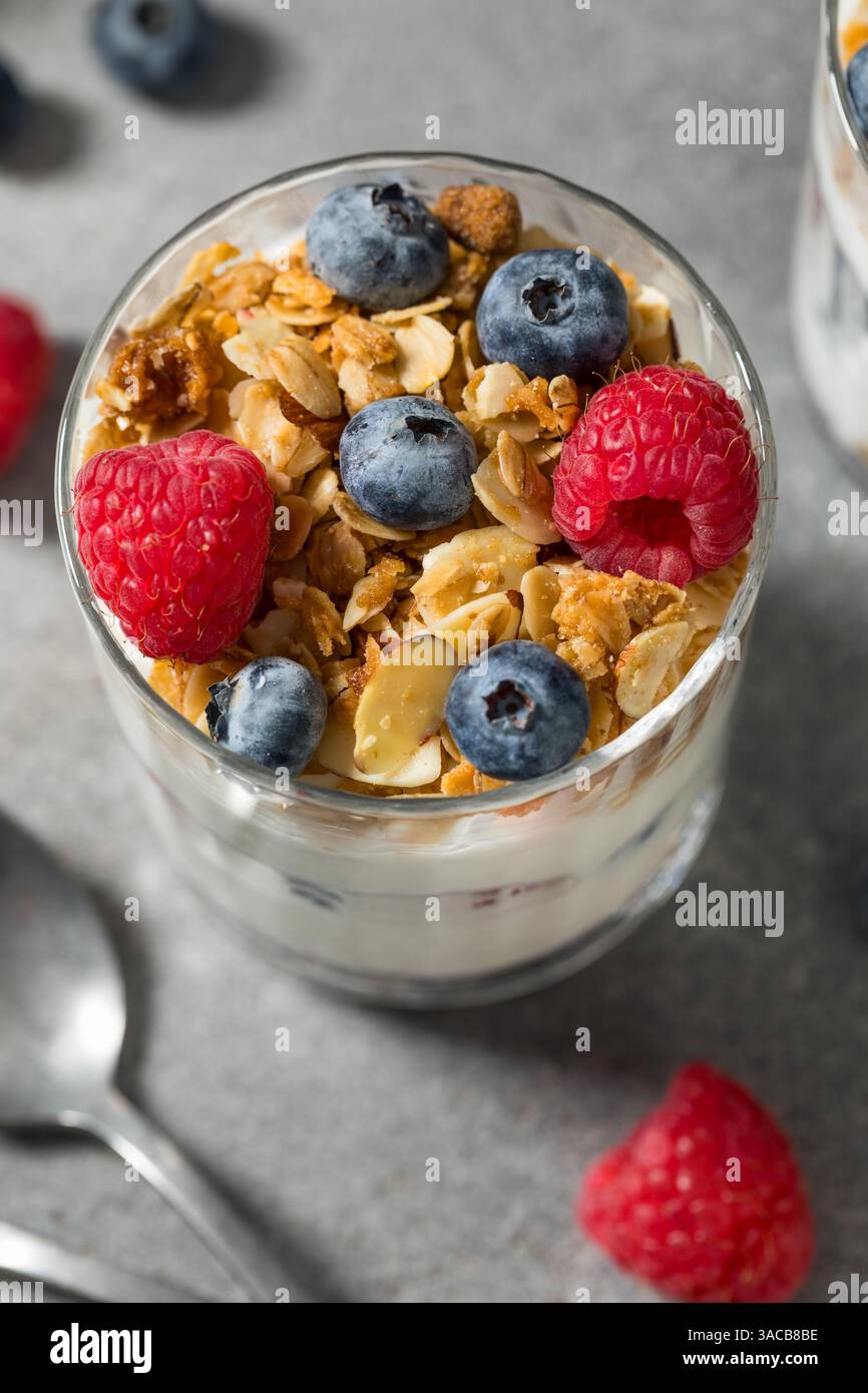 Parfait di yogurt fatto in casa con Granola e frutti di bosco Foto Stock