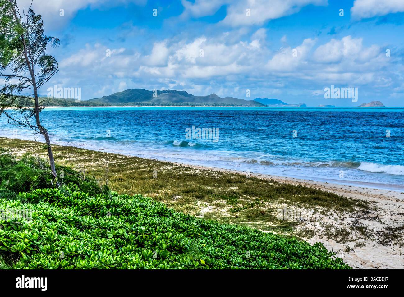 Colorato Kailua Beach Park Oahu, Hawaii. Foto Stock