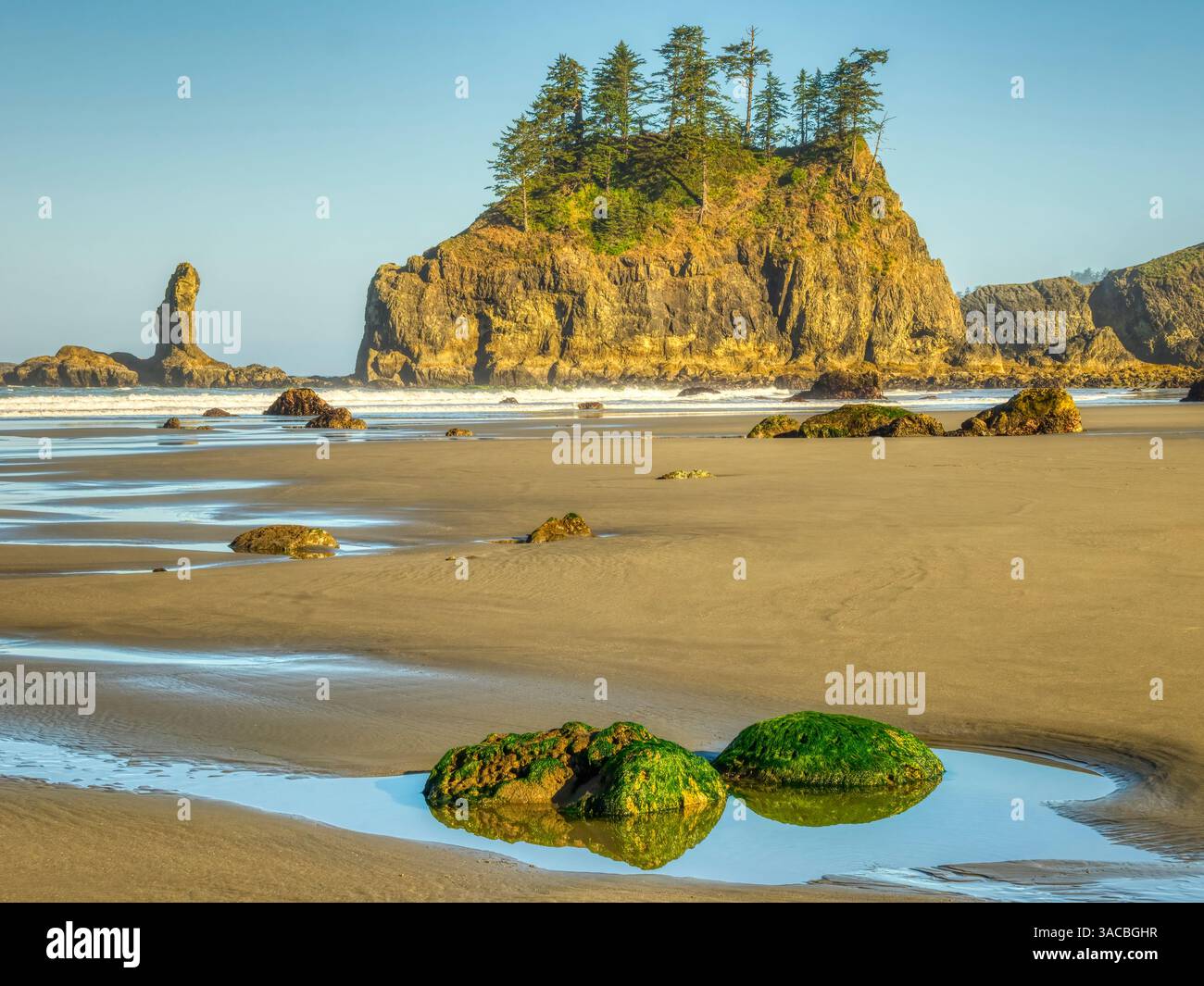 Stato di Washington, Stati Uniti. Olympic National Park, Second Beach, rocce ricoperte di gabbie nella piscina con maree e fondali marini durante la bassa marea. Foto Stock
