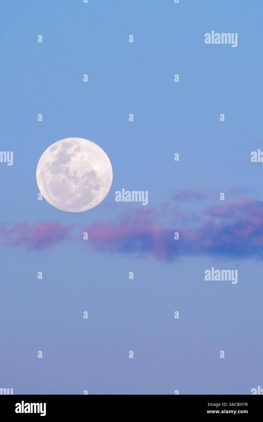 Zambia, South Luangwa National Park. Luna piena. Foto Stock