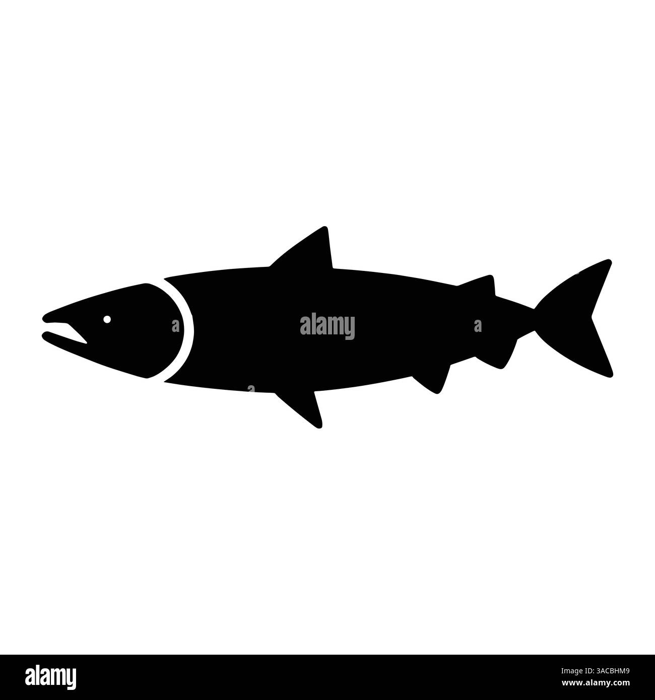 Sagoma di pesce bianco e nero nella vista laterale. Semplice illustrazione vettoriale isolata su sfondo bianco. Illustrazione Vettoriale