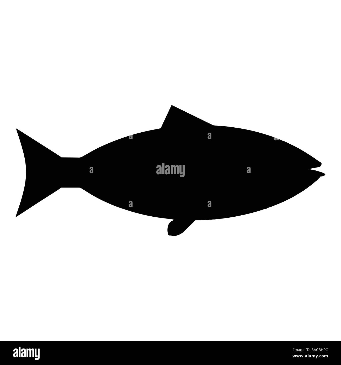 Design della silhouette vettoriale del pesce, isolato su sfondo bianco. Silhouette nera minimalista di un pesce, perfetta per i loghi, i modelli di T-shirt, una Illustrazione Vettoriale