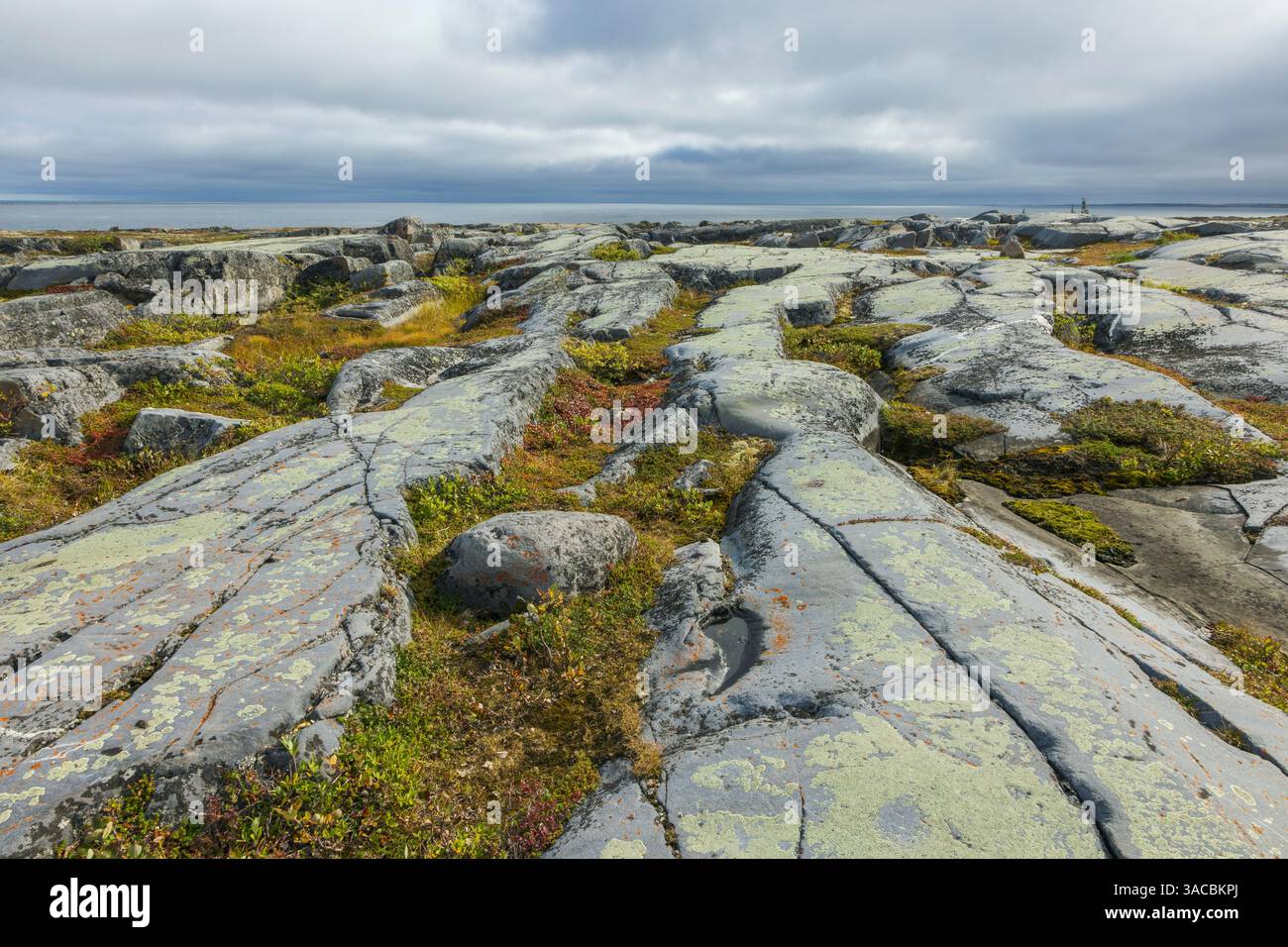 Formazioni rocciose del ghiacciaio della tundra artica nella Baia di Hudson Foto Stock