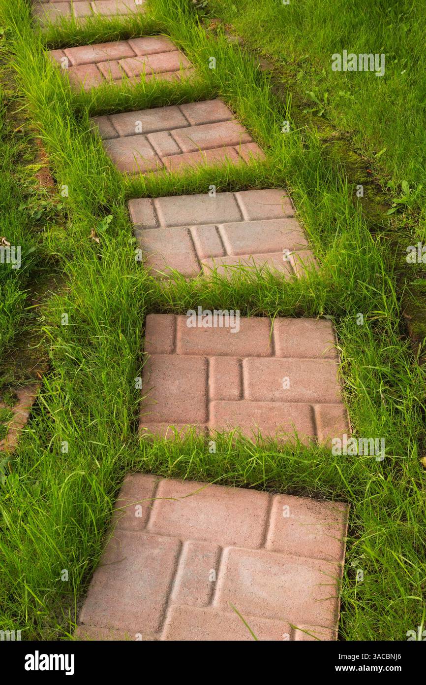 Sentiero in pietra di colore marrone e beige su prato erboso nel giardino sul retro in estate. Foto Stock