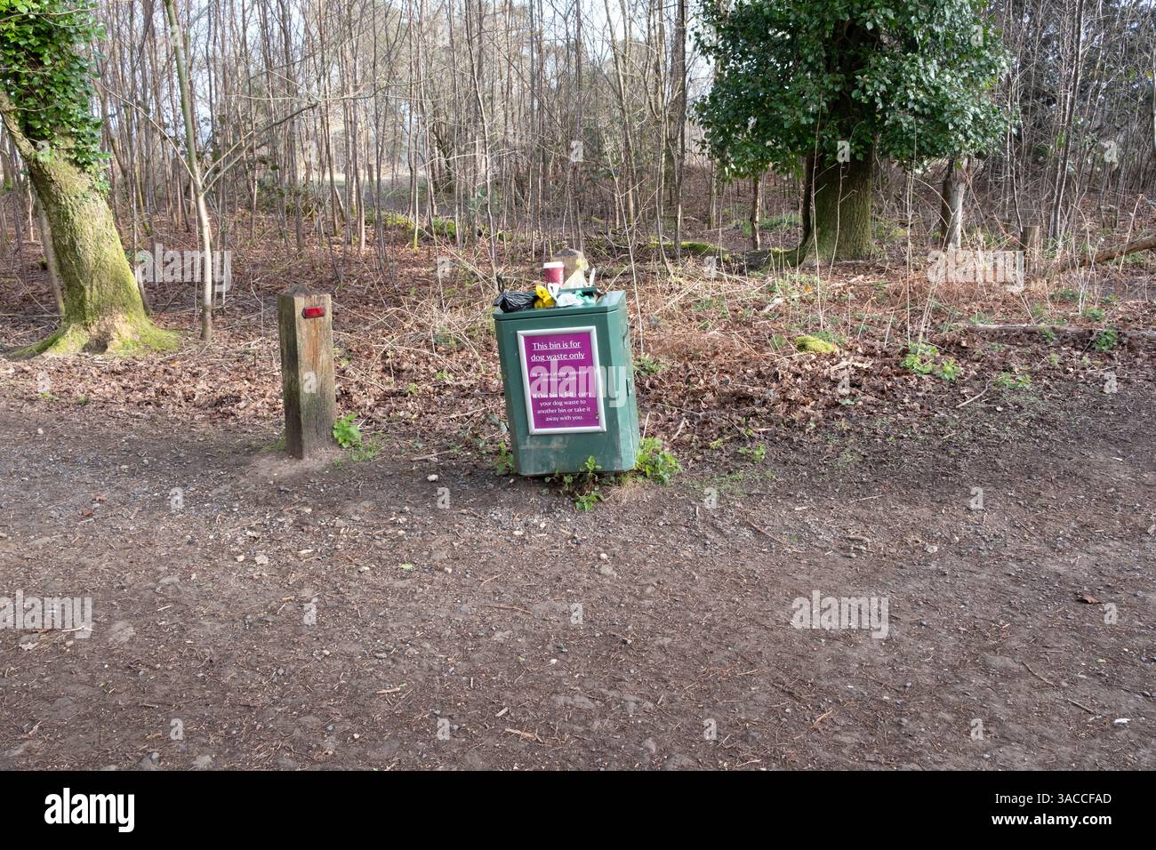 Cestino per cacca di cane traboccante a Hindhead Common, Surrey, Regno Unito Foto Stock