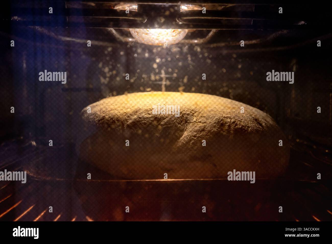 Il pane fatto in casa viene cotto nel forno Foto Stock