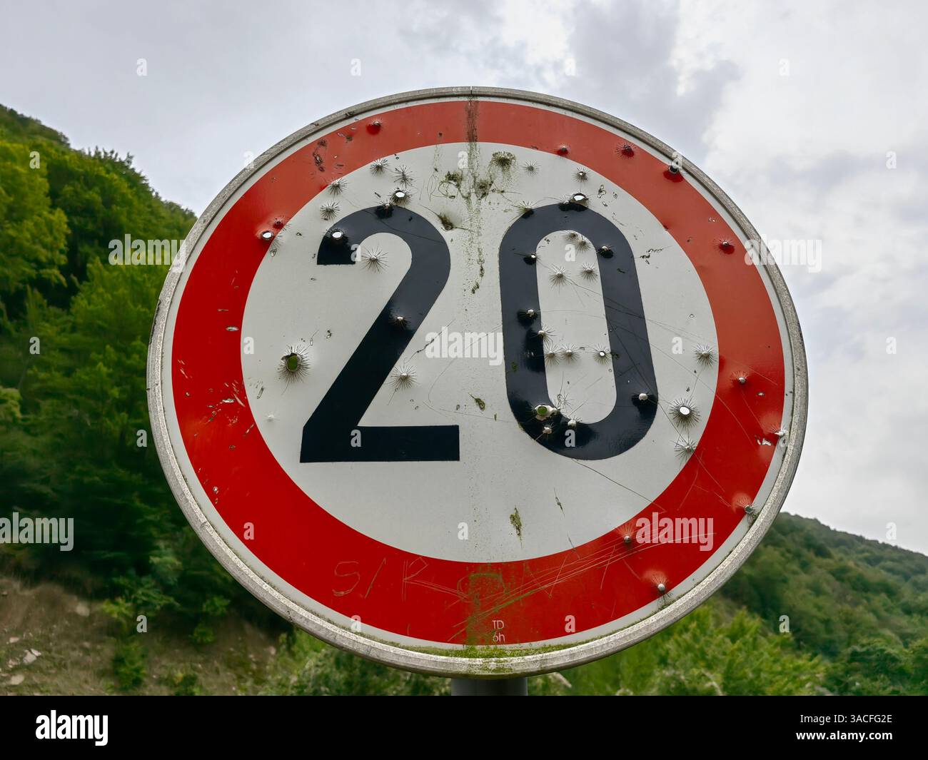 Into the Wild: Numero 20 sotto fuoco Foto Stock