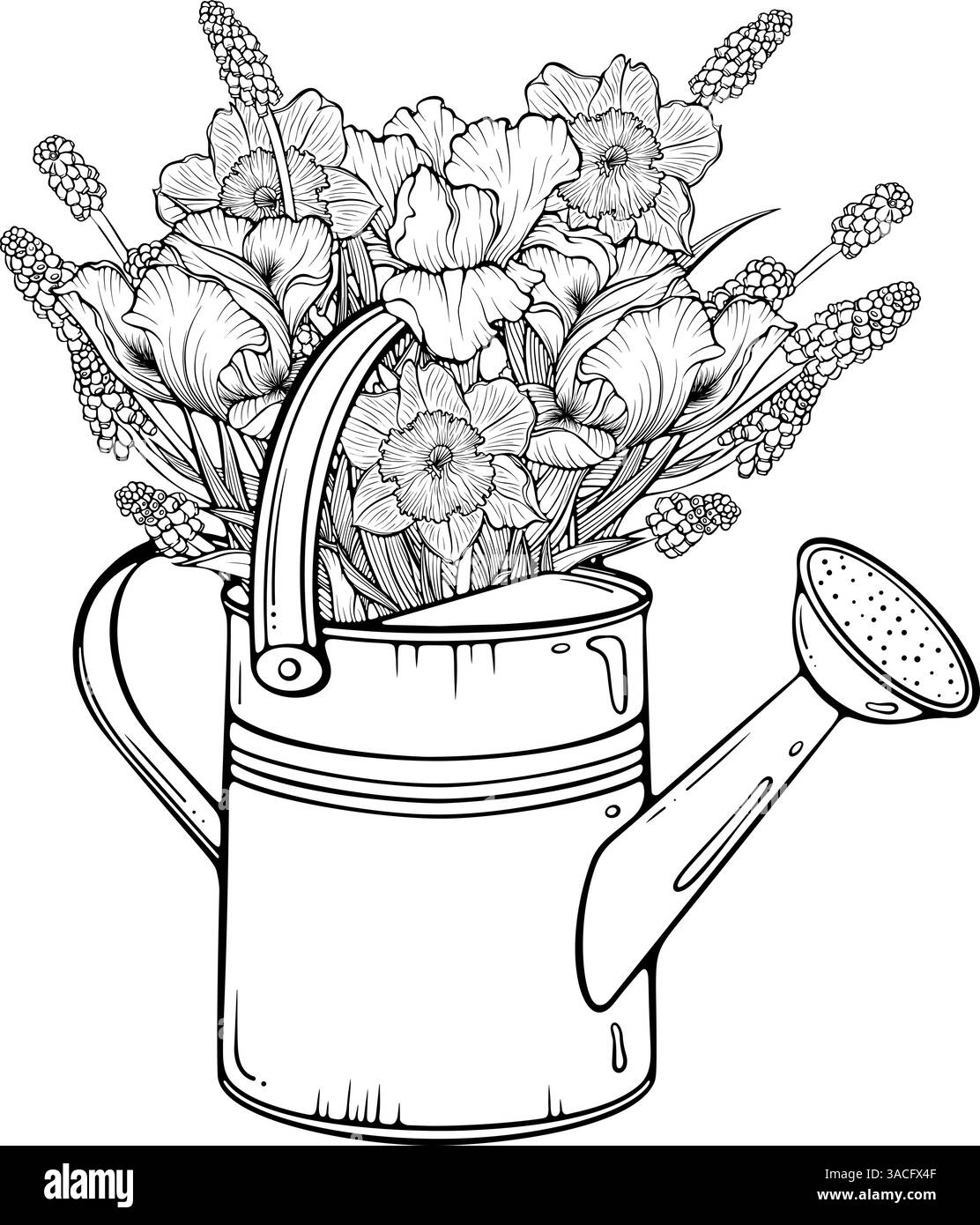 Annaffiatoio con fiori primaverili line art Illustrazione Vettoriale