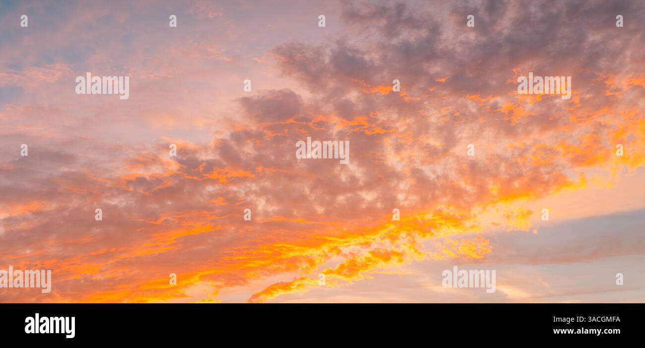 Meravigliose nuvole di rosa arancio tenue al tramonto dai toni pastello. Cielo con un clima sereno. Splendida carta da parati. Cielo epico luminoso pano luminoso per la sera Foto Stock