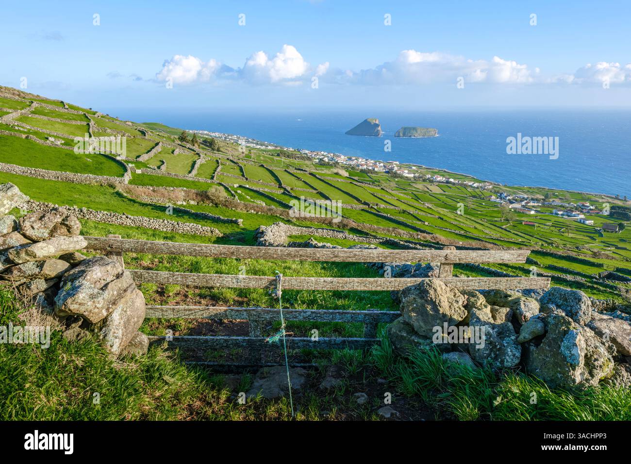 Una splendida vista panoramica di Terceira, Azzorre, mette in mostra l'unico paesaggio rurale dell'isola con i suoi campi verdi, pareti in pietra, recinzione in legno e un pictu Foto Stock