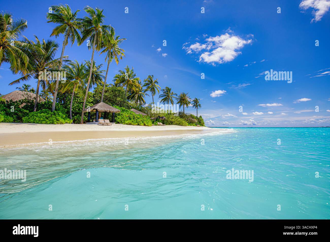 Spiaggia paradisiaca, sabbia bianca, acque turchesi, palme da cocco, cielo soleggiato, vibrante atmosfera estiva, spiaggia per le vacanze Foto Stock