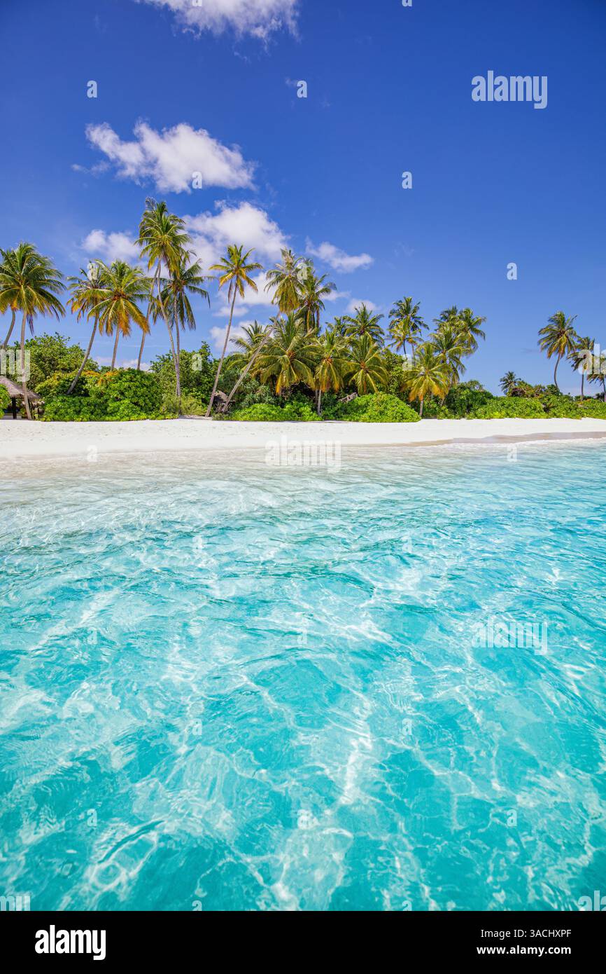 Spiaggia paradisiaca, sabbia bianca, acque turchesi, palme da cocco, cielo soleggiato, vibrante atmosfera estiva, spiaggia per le vacanze Foto Stock