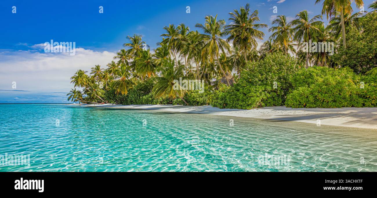 Spiaggia paradisiaca, sabbia bianca, acque turchesi, palme da cocco, cielo soleggiato, vibrante atmosfera estiva, spiaggia per le vacanze Foto Stock