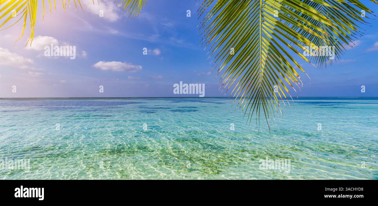Paesaggio tropicale incorniciato da lussureggianti foglie di palma verdi, spiaggia paradisiaca del cielo soleggiato acque turchesi, cielo soleggiato beatitudine estiva. Incredibile ispira il paesaggio Foto Stock