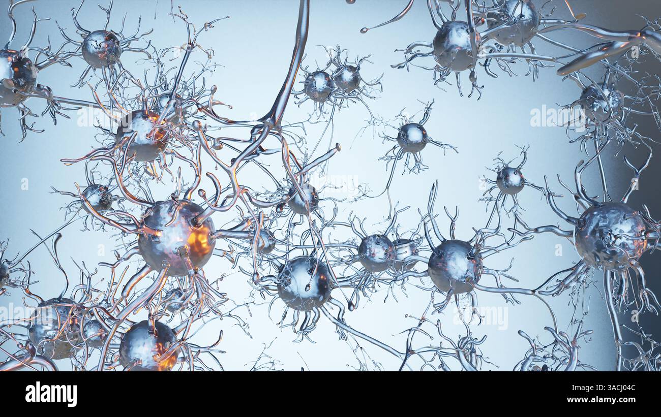 Anatomia del sistema nervoso umano, neuroni o cellule nervose, comunicazione nervosa, corteccia cerebrale, neurone attivo, neurogenesi, neurotrasmettitori, Synap Foto Stock