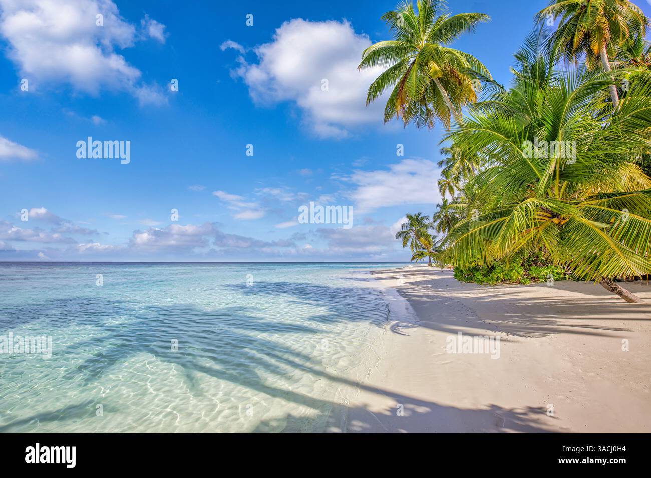 Paradiso di spiaggia tropicale mozzafiato, sabbia bianca, mare soleggiato, palme, tranquillo scenario costiero. Un incredibile relax durante i viaggi. Carta da parati di lusso Foto Stock