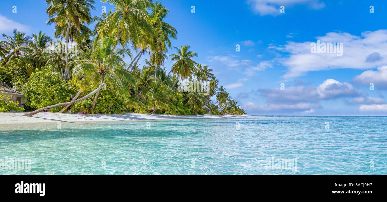 Paradiso di spiaggia tropicale mozzafiato, sabbia bianca, mare soleggiato, palme, tranquillo scenario costiero. Un incredibile relax durante i viaggi. Carta da parati di lusso Foto Stock