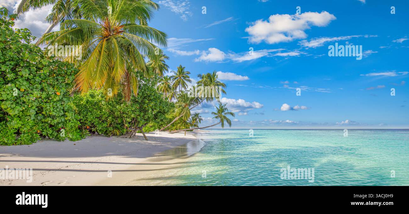 Paradiso di spiaggia tropicale mozzafiato, sabbia bianca, mare soleggiato, palme, tranquillo scenario costiero. Un incredibile relax durante i viaggi. Carta da parati di lusso Foto Stock