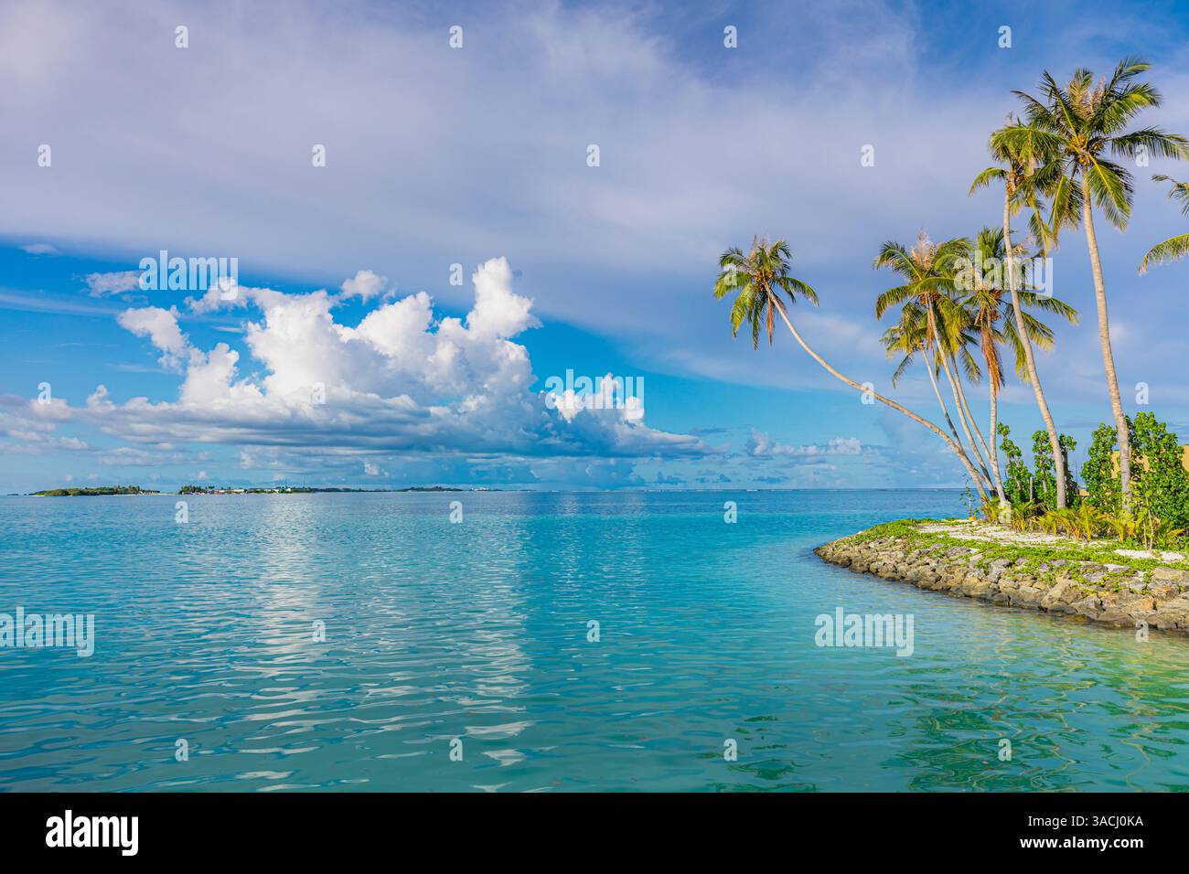 Spiaggia delle Maldive con baia turchese, sabbia bianca, palme soleggiate, serene vibrazioni dell'isola perfette per rilassarsi, viaggiare, vacanze esotiche. Foto Stock