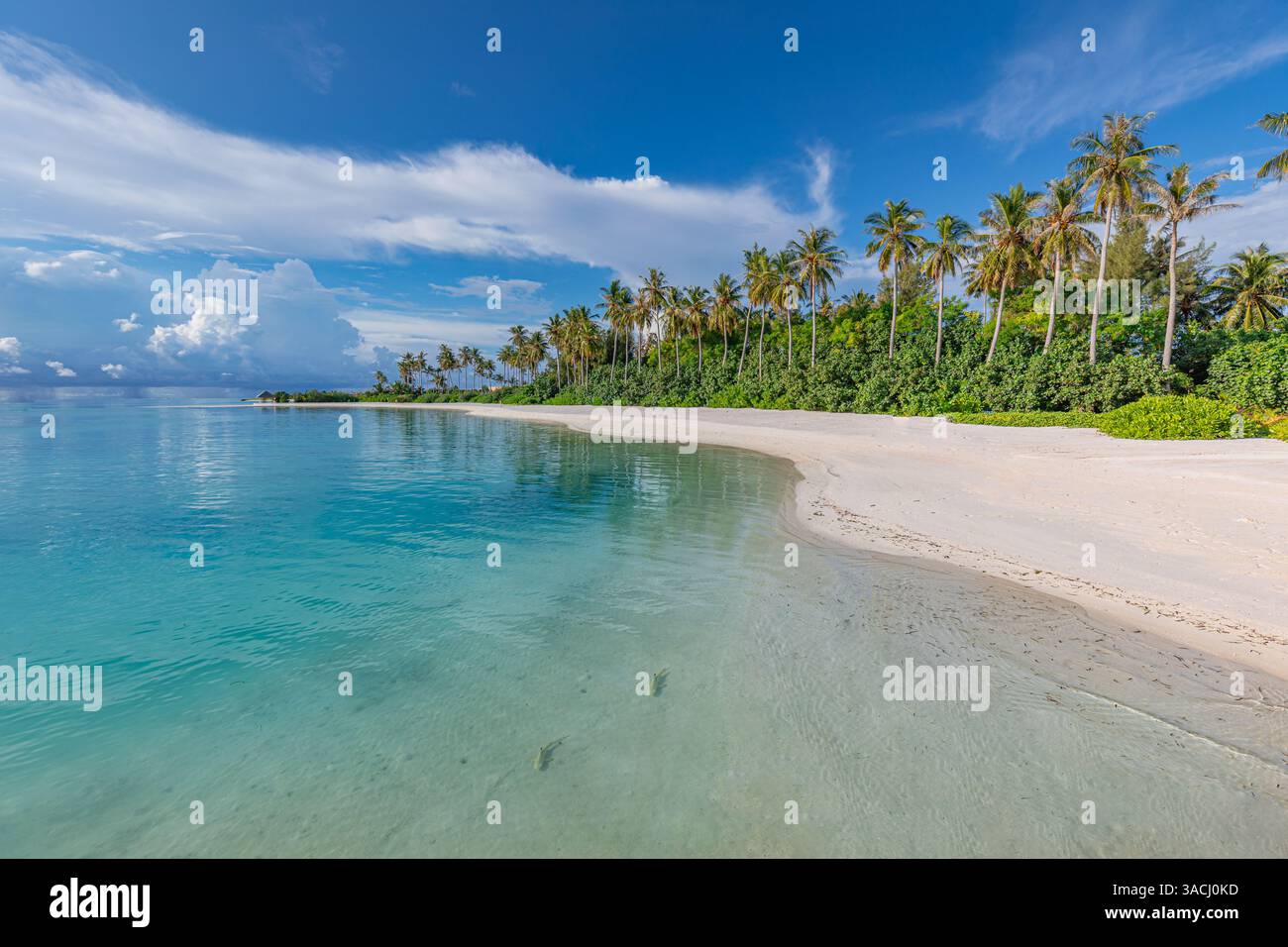 Spiaggia delle Maldive con baia turchese, sabbia bianca, palme soleggiate, serene vibrazioni dell'isola perfette per rilassarsi, viaggiare, vacanze esotiche. Foto Stock
