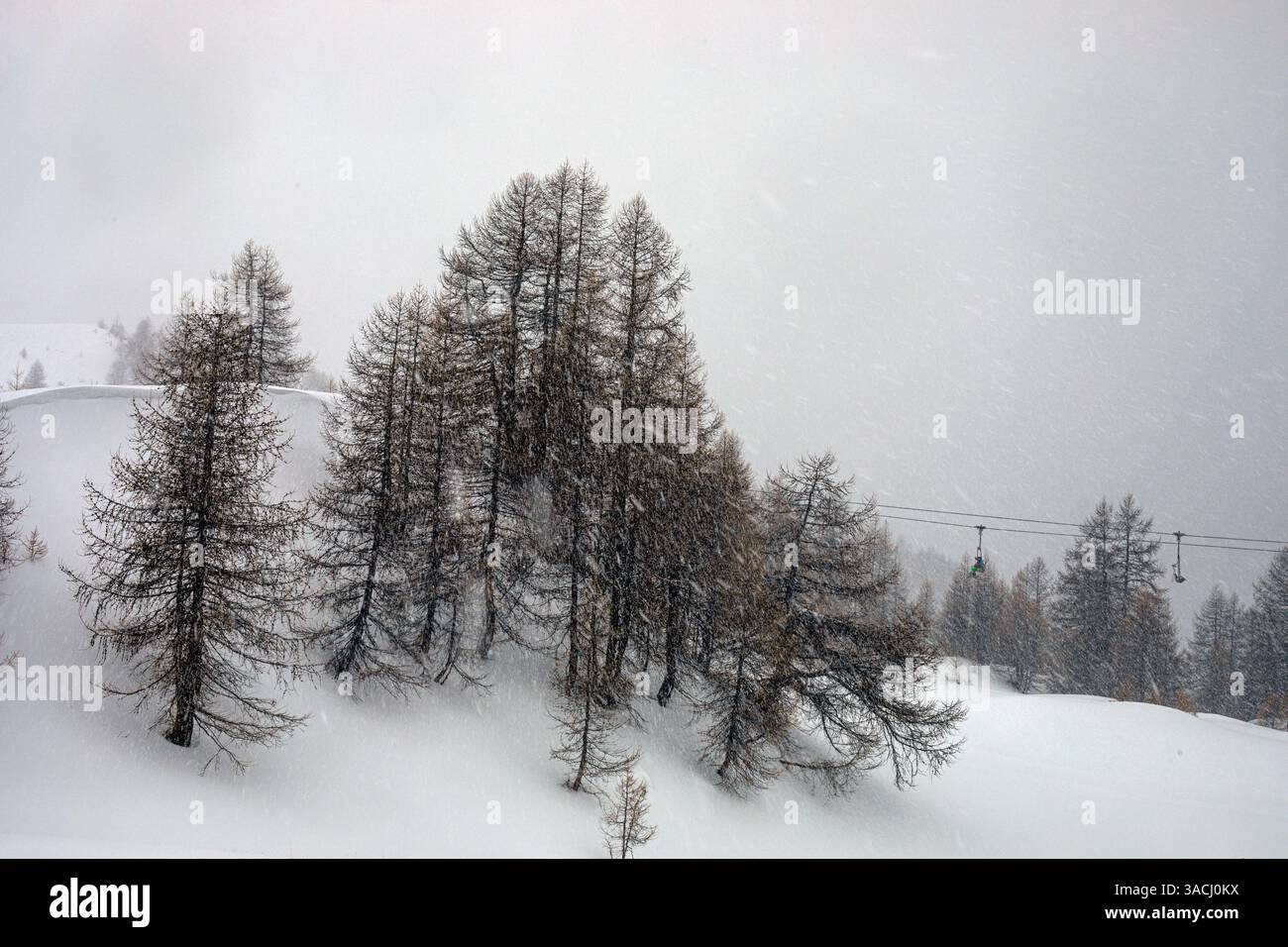 Neve con pioggia e vento sulla cima di una montagna in una stazione sciistica italiana nelle Alpi. Scarsa visibilità Foto Stock