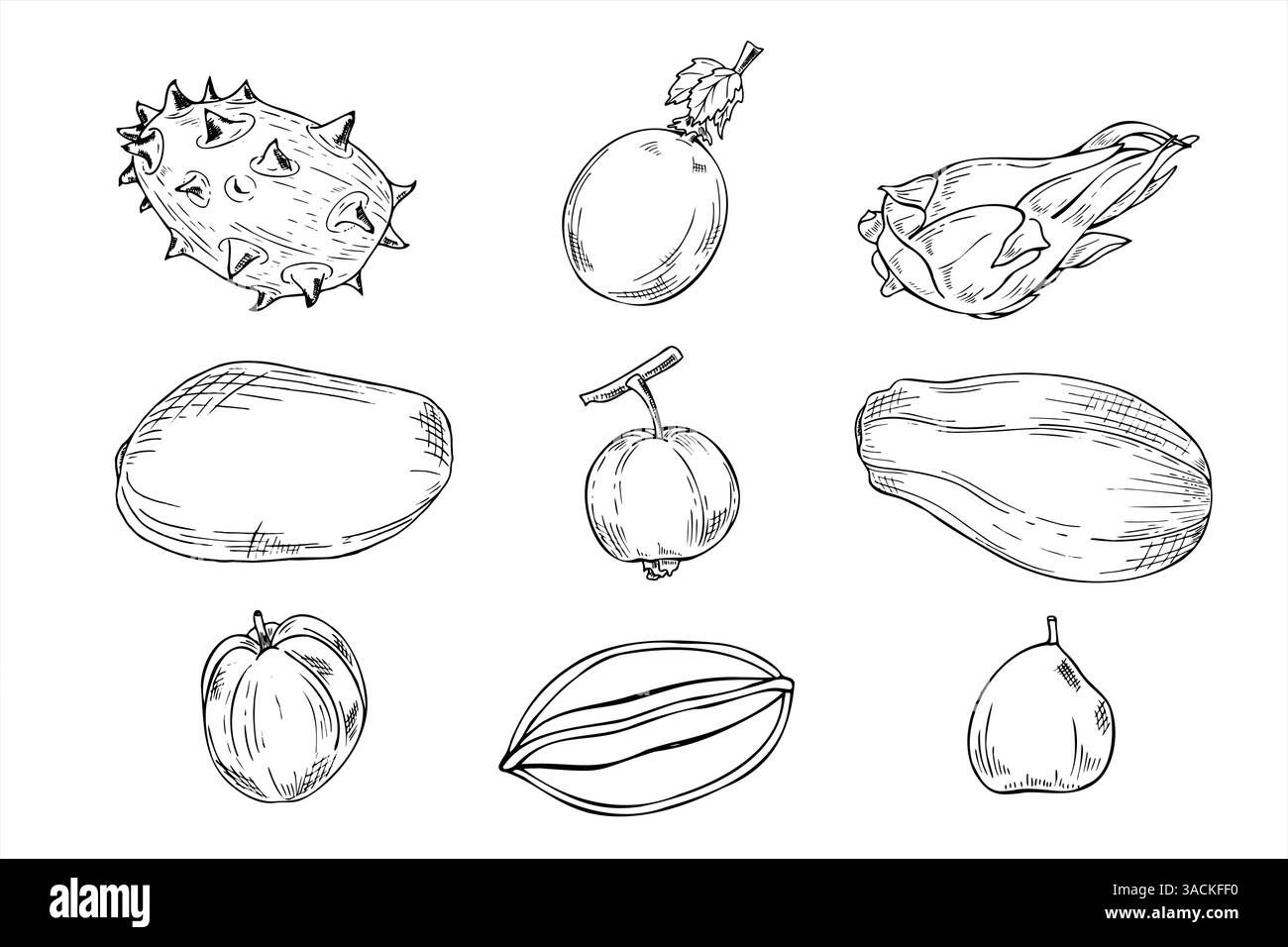 Clip art per illustrazioni isolate da vettori di frutti esotici americani e asiatici dipinte da inchiostri neri. Melone con corna, mango, papaya, frutto del drago, carambola Illustrazione Vettoriale