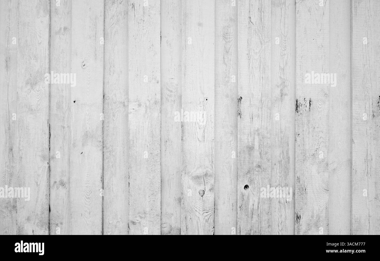 Sfondo in legno: Vecchio muro in legno con vecchie tavole bianche intemprate Foto Stock
