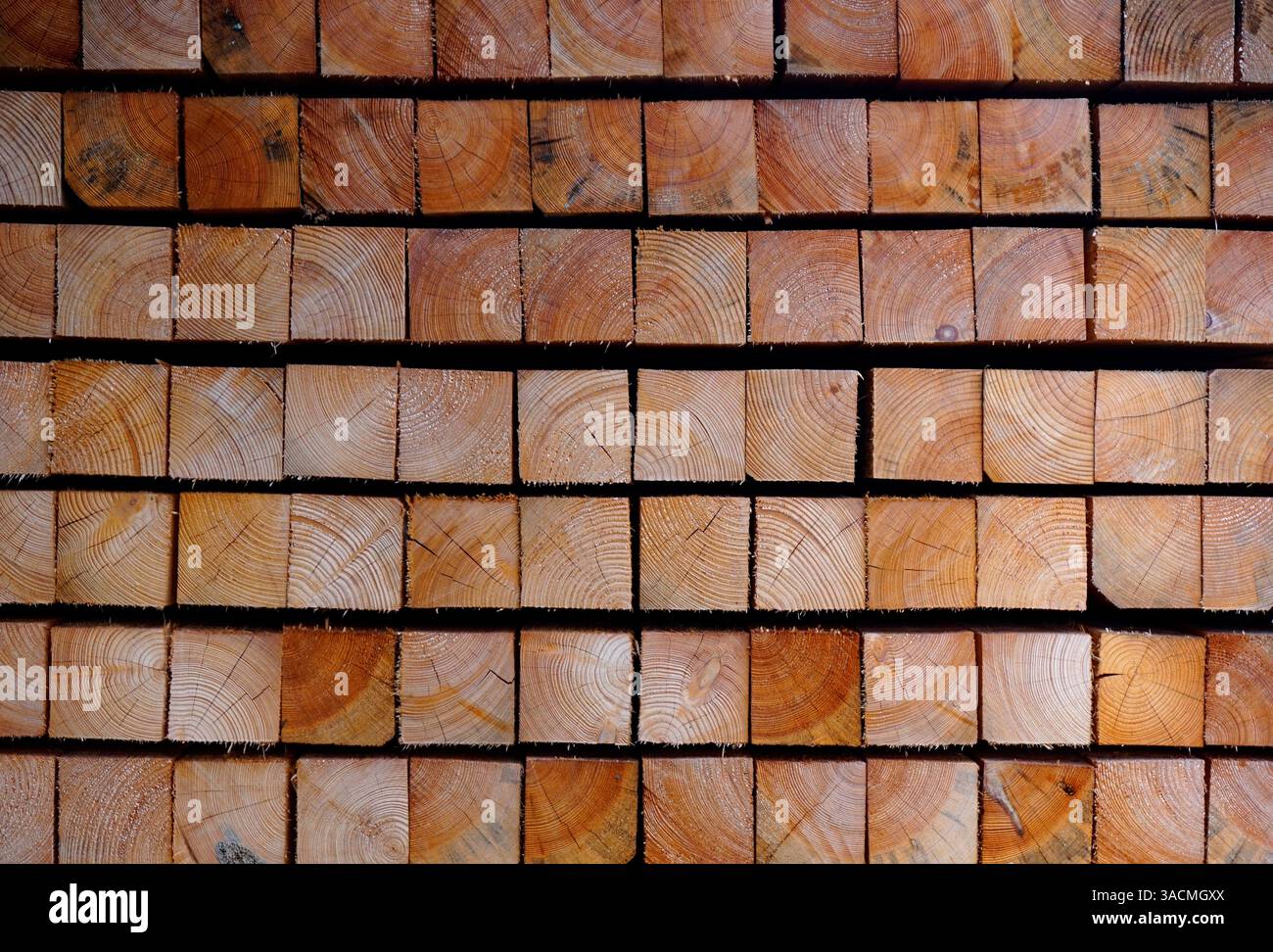 Pila di legno - travi di legno segate impilate come sfondo per tutto ciò che riguarda il legno come materia prima, materiale da costruzione o stoccaggio del legno Foto Stock