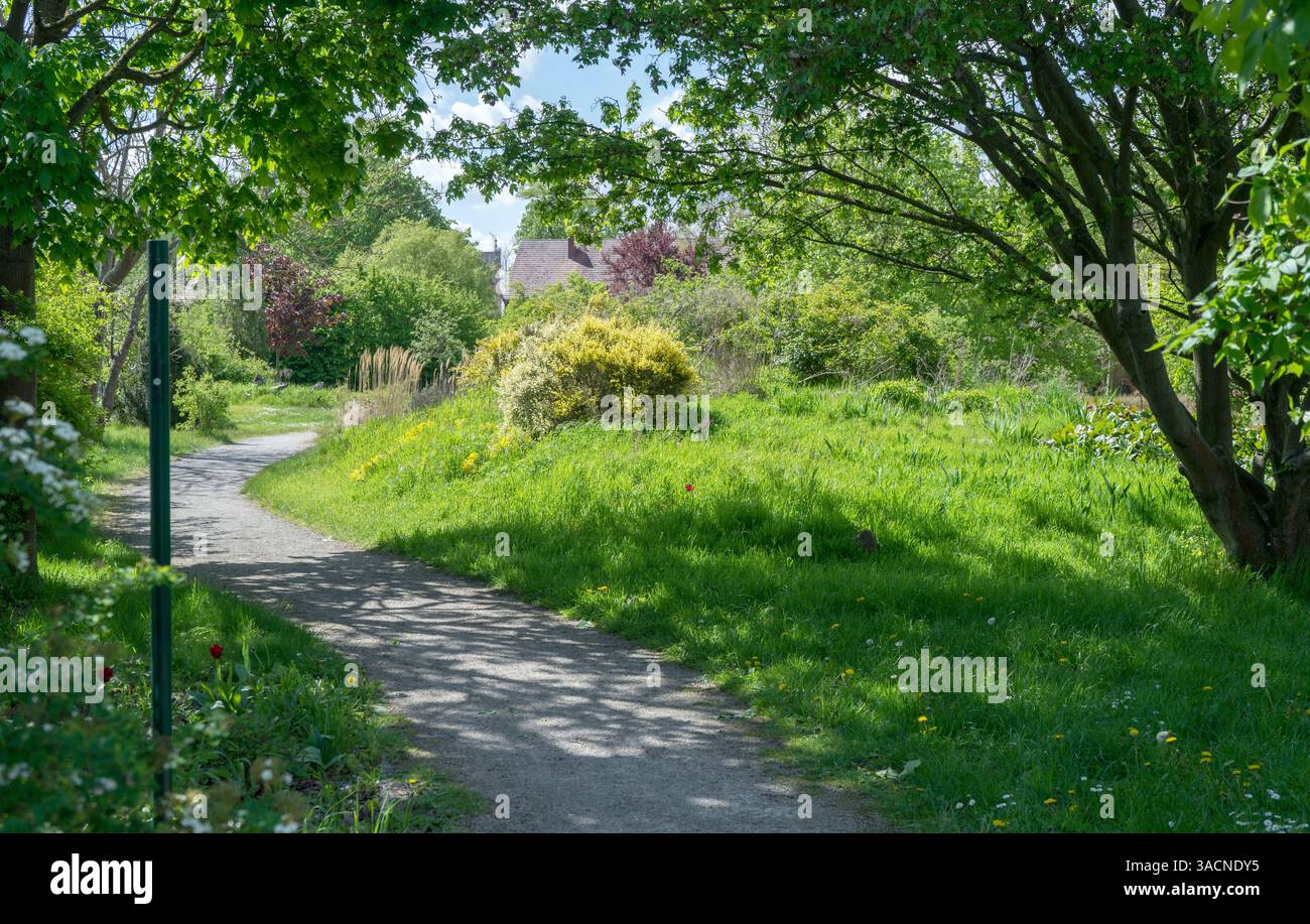 Giardino naturale con sentiero curvo, alberi e arbusti in primavera Foto Stock