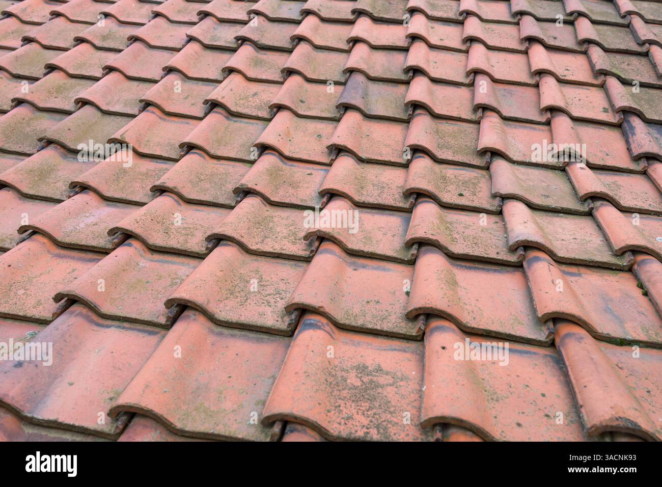 Primo piano di un tetto con piastrelle rosse, Foto Stock