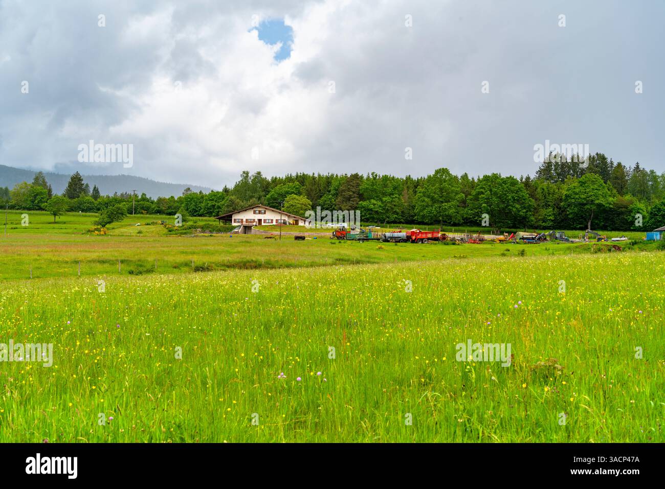 Paesaggio agricolo intorno a Saulxures, un comune del dipartimento del Bas-Rhin nel Grand Est, nel nord-est della Francia Foto Stock