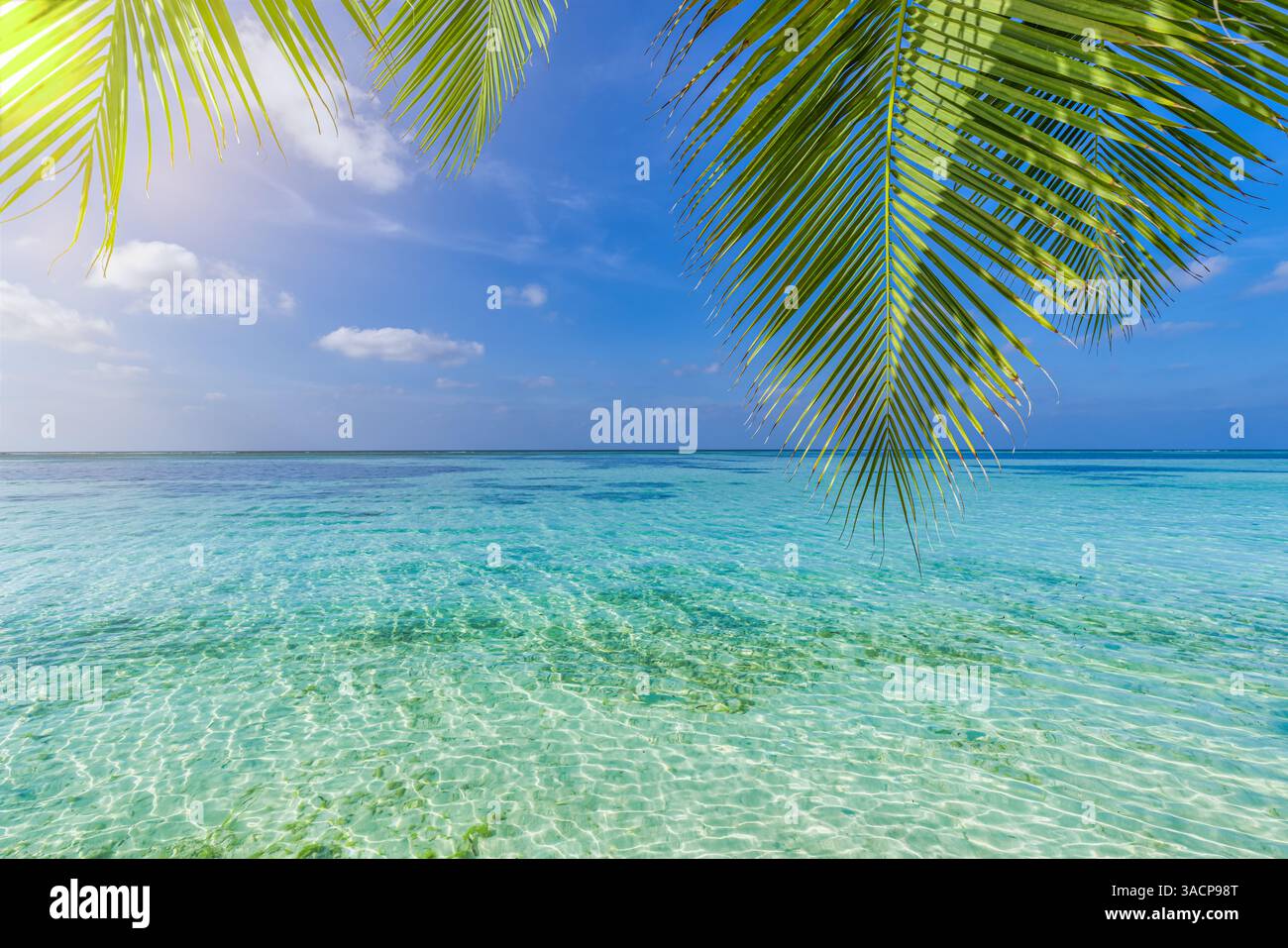 Vista mare con foglie di palme che incorniciano l'orizzonte, onde dolci, luce blu del cielo, che creano una fuga serena e tropicale. Una perfetta carta da parati soleggiata Foto Stock