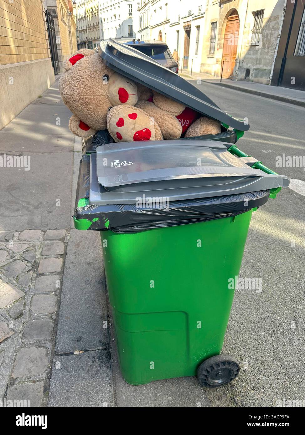 DUE ORSI TEDDY NELLA SPAZZATURA Foto Stock