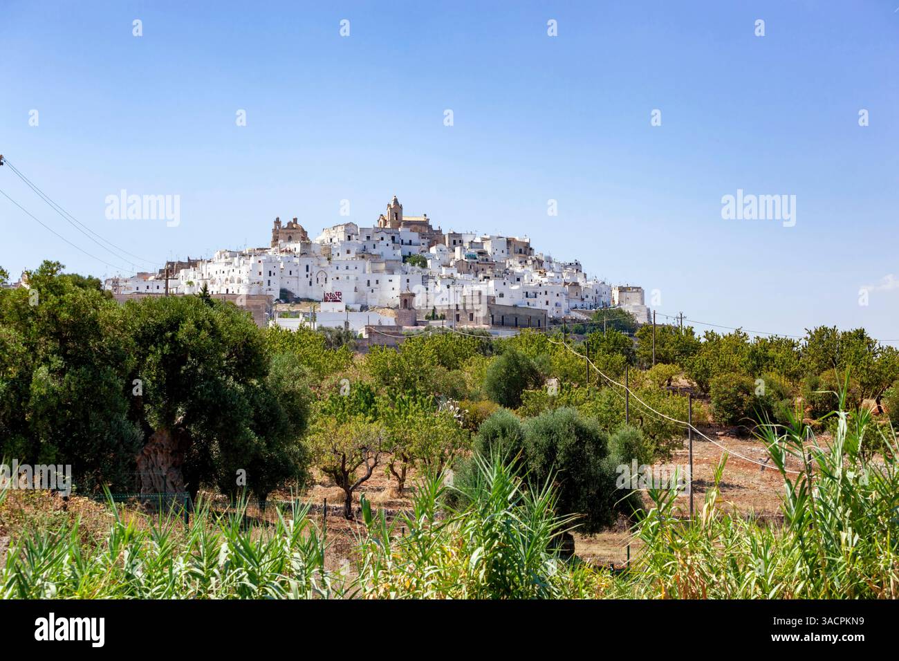 Ostuni, la città bianca, si erge maestosamente su una collina, dominando la verde campagna circostante sotto un cielo azzurro Foto Stock