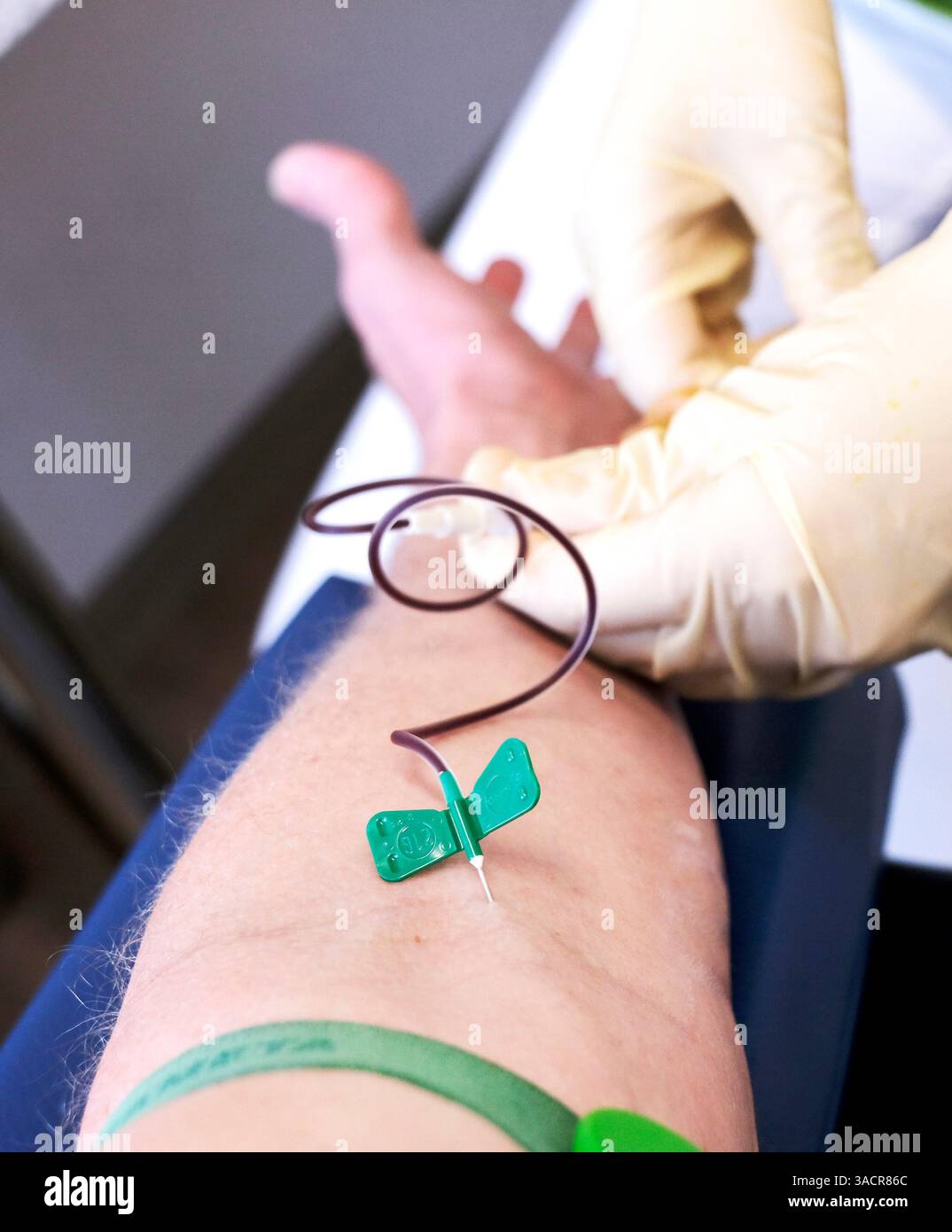 Prelievo di sangue Foto Stock