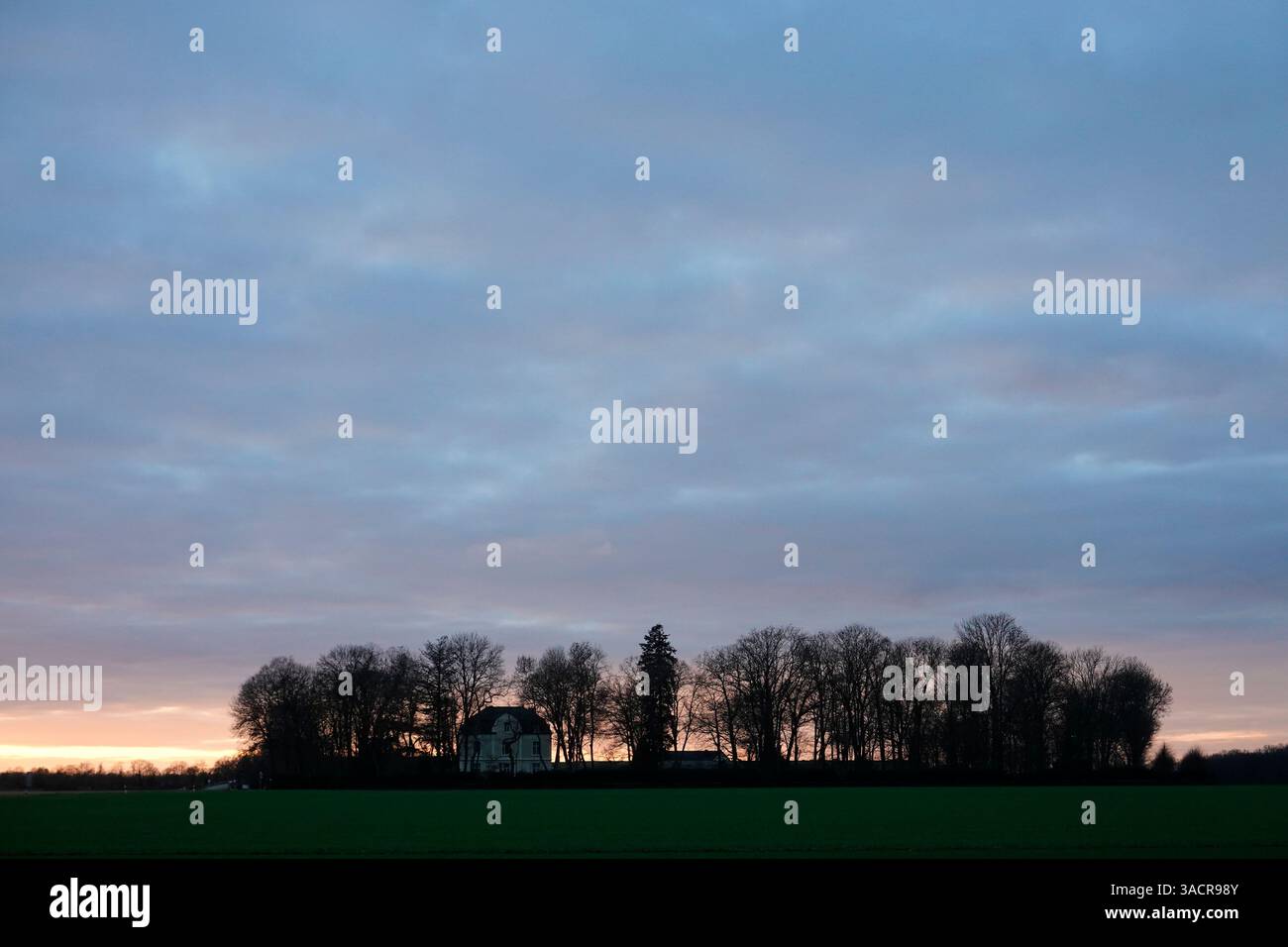 Villa appartata, circondata da alberi, al tramonto, Renania settentrionale-Vestfalia, Germania, Weilerswist Foto Stock