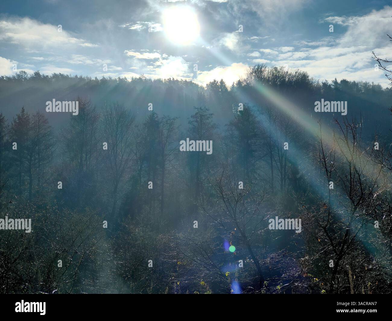 Sole splendente con molti raggi sopra una foresta Foto Stock