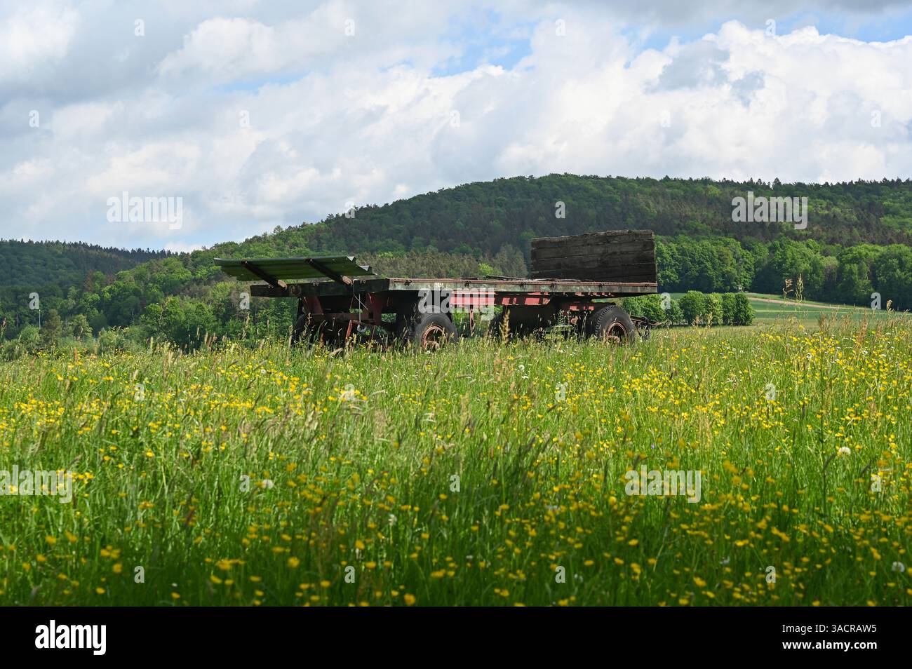 Un rimorchio vuoto di una fattoria si trova su un prato di fiori in un paesaggio verde Foto Stock