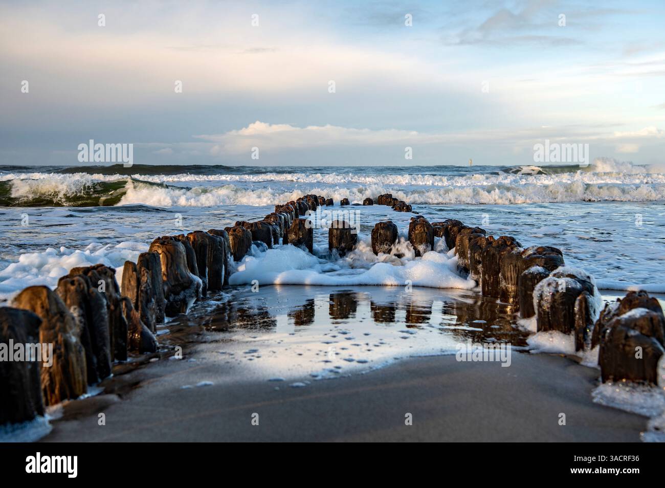 Onde da surf su un vecchio groyne di legno Foto Stock