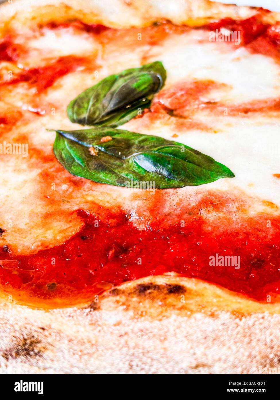Vista dettagliata di una pizza margherita con crosta croccante, mozzarella fresca, salsa di pomodoro e profumate foglie di basilico, che mostra la semplicità e i sapori iconici della cucina italiana Foto Stock