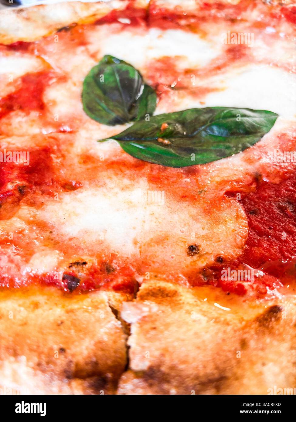 Primo piano di una pizza margherita con basilico fresco, mozzarella e pomodori maturi su una sottile crosta dorata, che riflette i sapori autentici e la semplicità della cucina mediterranea. Foto Stock