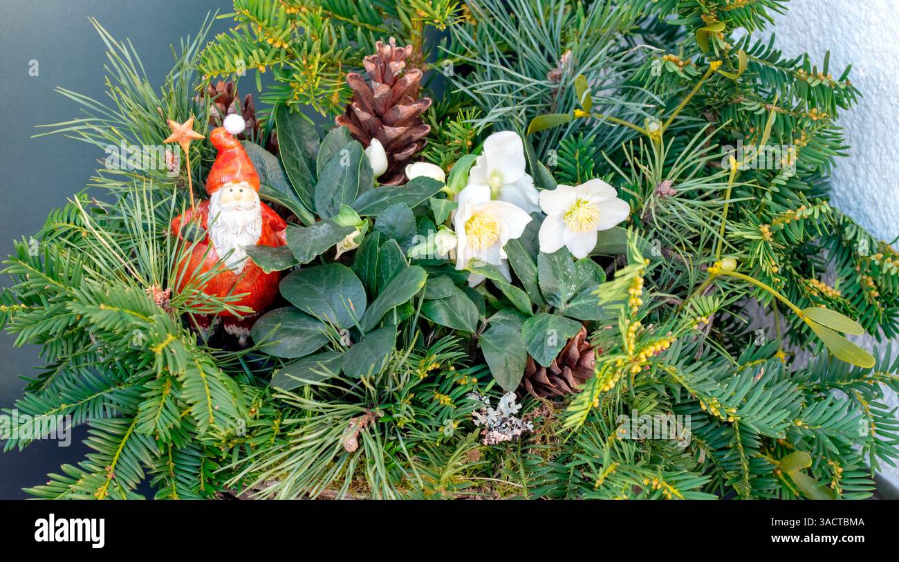 Natale rosso Santa figura seduta tra rami di abete in gelo Foto Stock