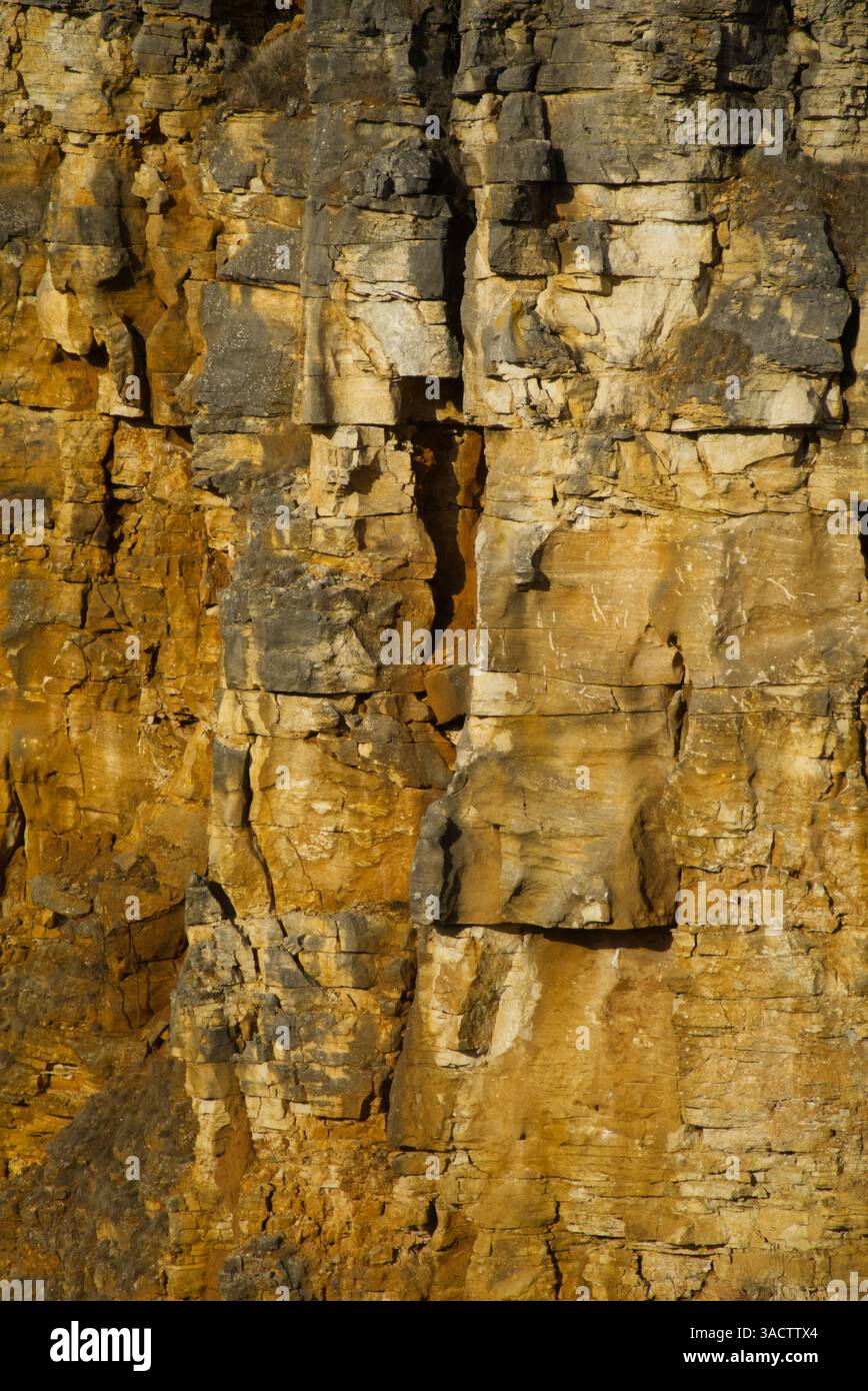 Parete rocciosa con pietra color ocra in una cava vicino a Heidenheim Foto Stock