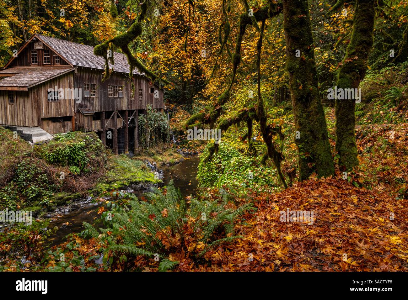 Lo storico mulino sopra Cedar Creek a Woodland, Washington State, USA Foto Stock