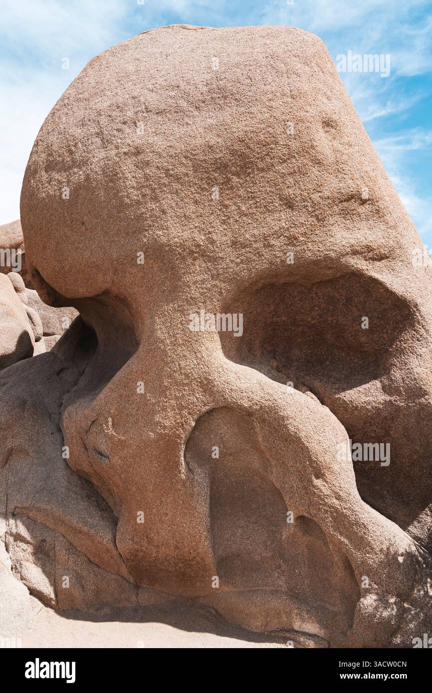 Joshua Tree National Park, Skull Rock, Stati Uniti, California Foto Stock